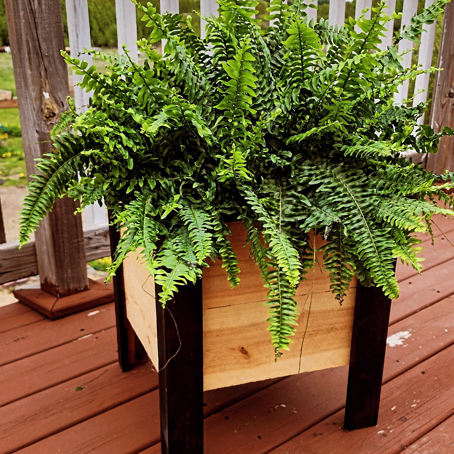 Cedar Planter Box, "Box A"