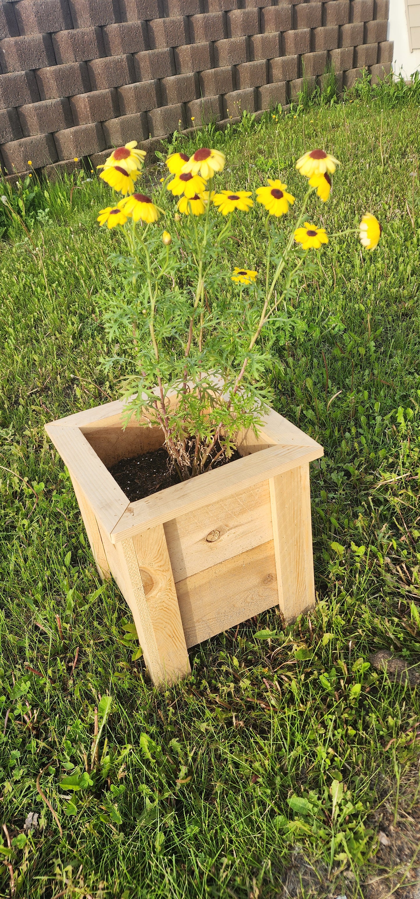 Cedar Planter Box "Box B"