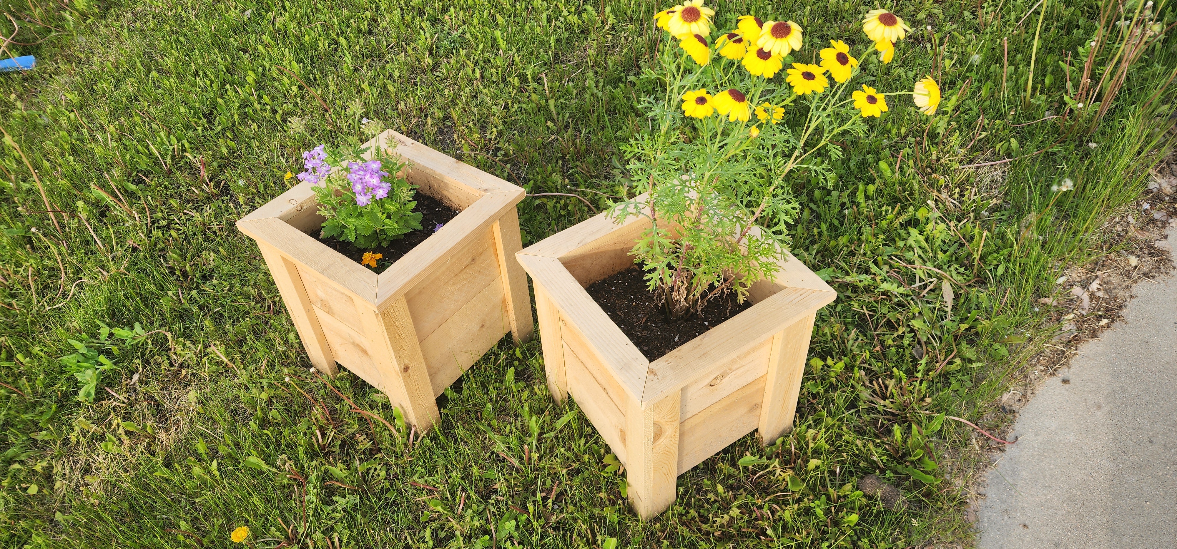 2024 Cedar flower box