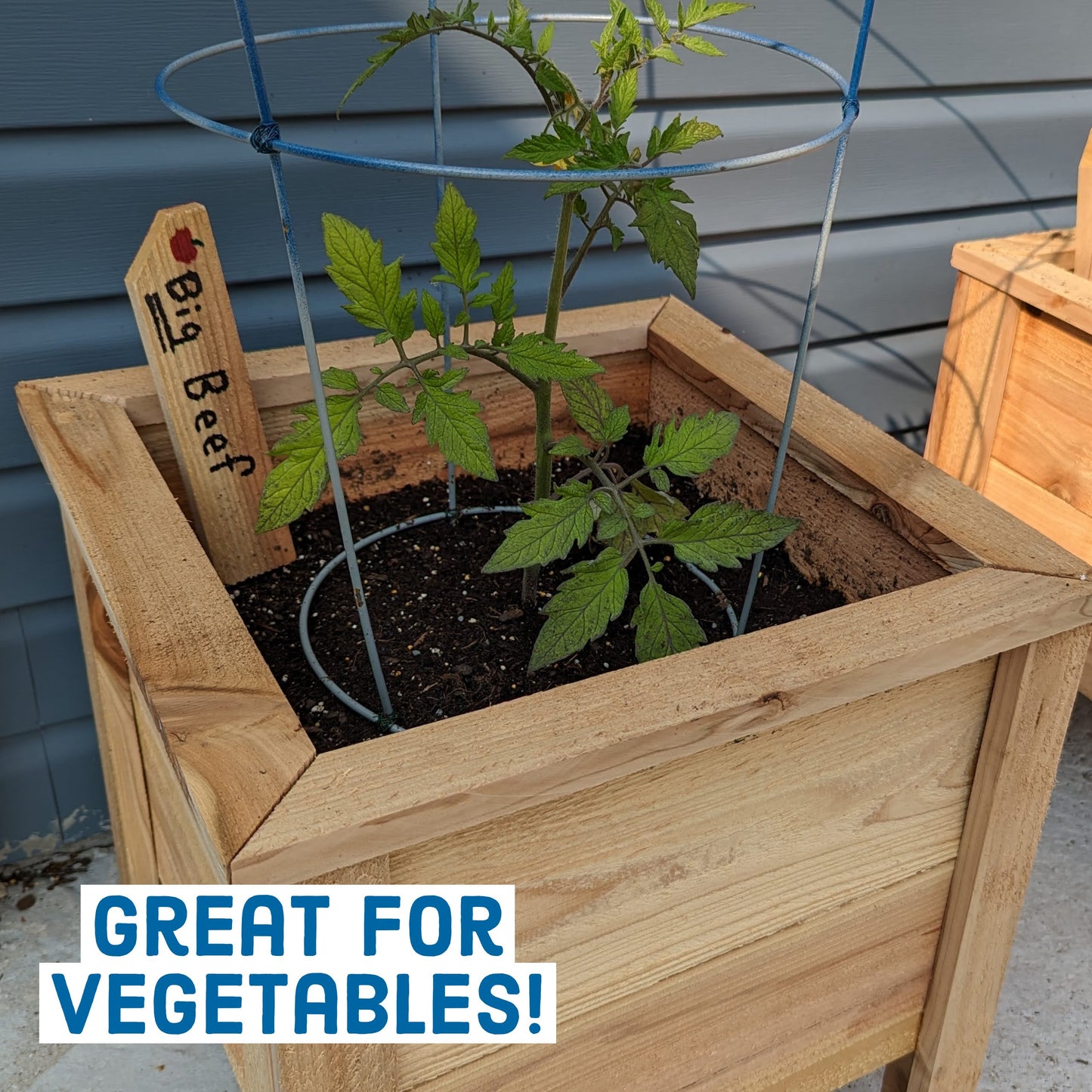 Cedar Planter Box "Box C"