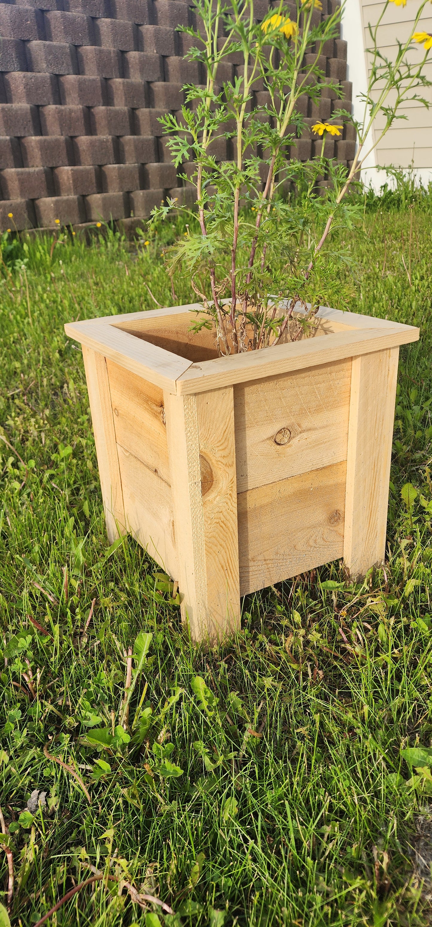 Cedar Planter Box "Box B"